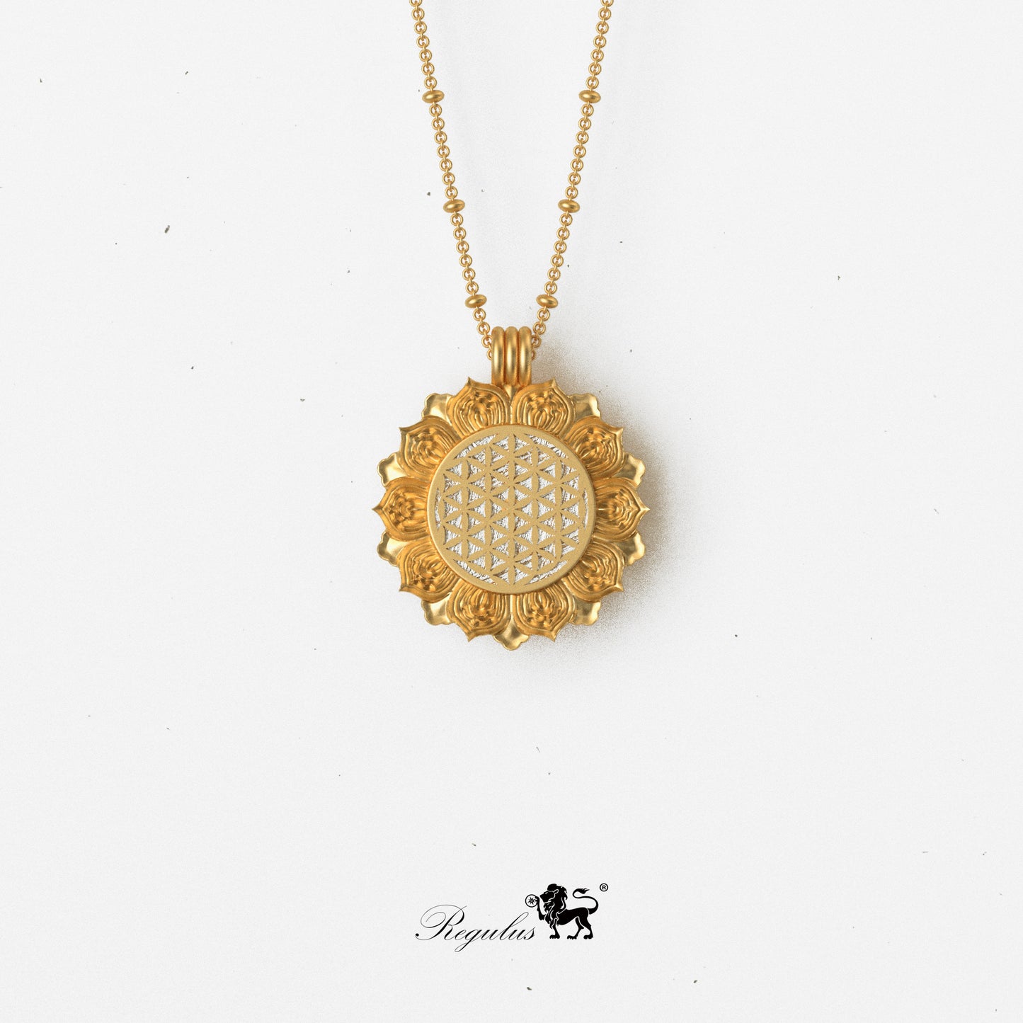 Muonionalusta Meteorite Pendant