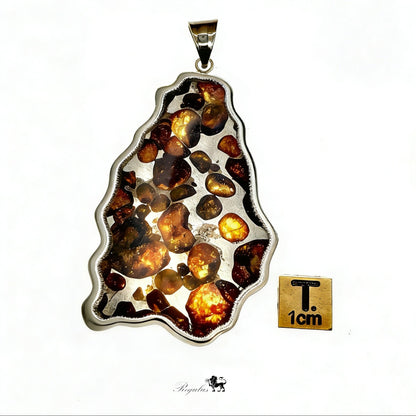 Pallasite Meteorite Pendant, Olive Green Crystal, Stainless Steel