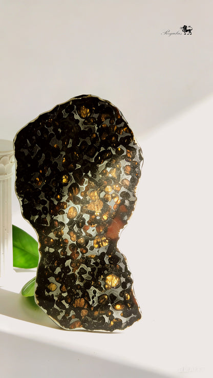 Kenya Pallasite Meteorite Slice,Olive Green Crystal
