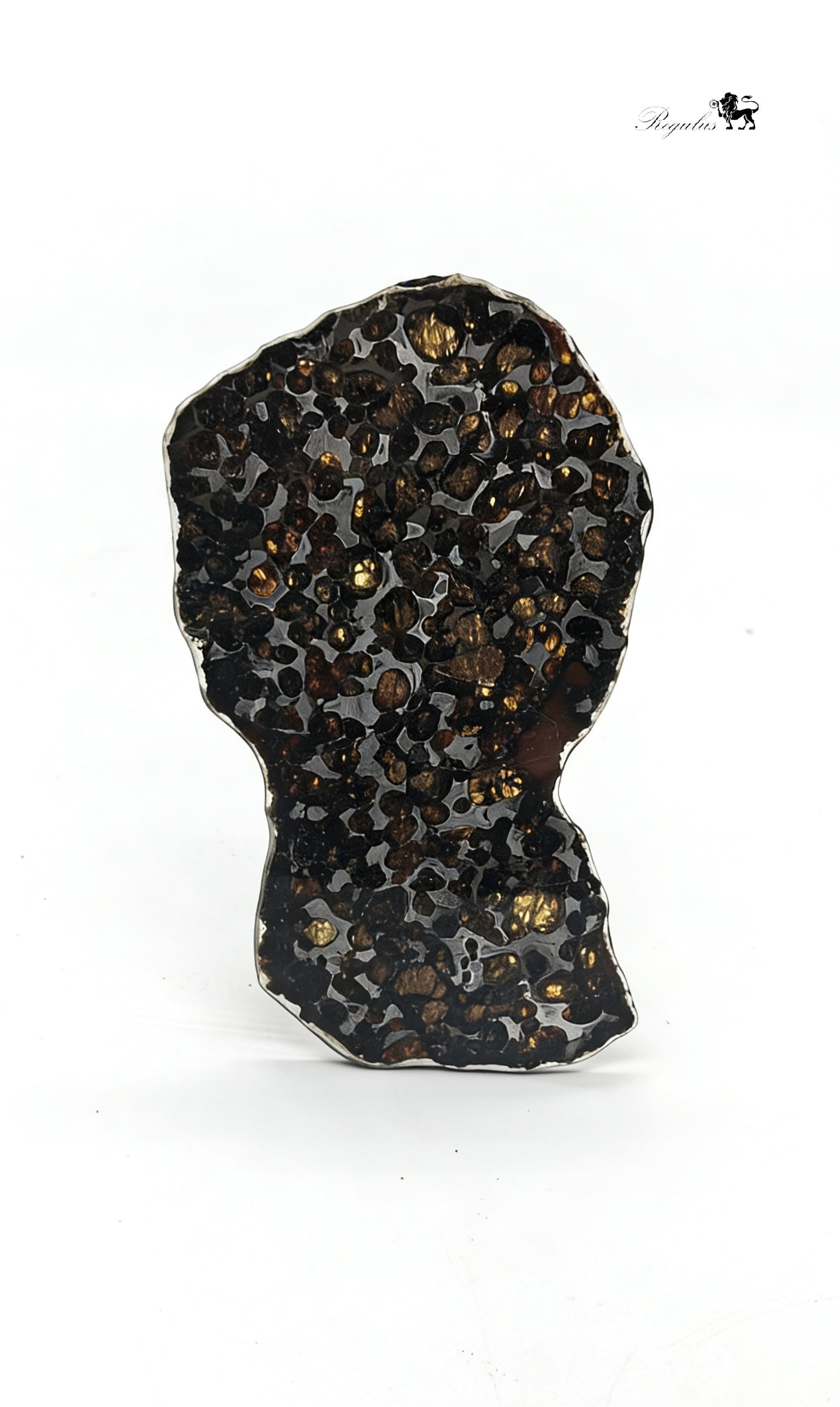 Kenya Pallasite Meteorite Slice,Olive Green Crystal