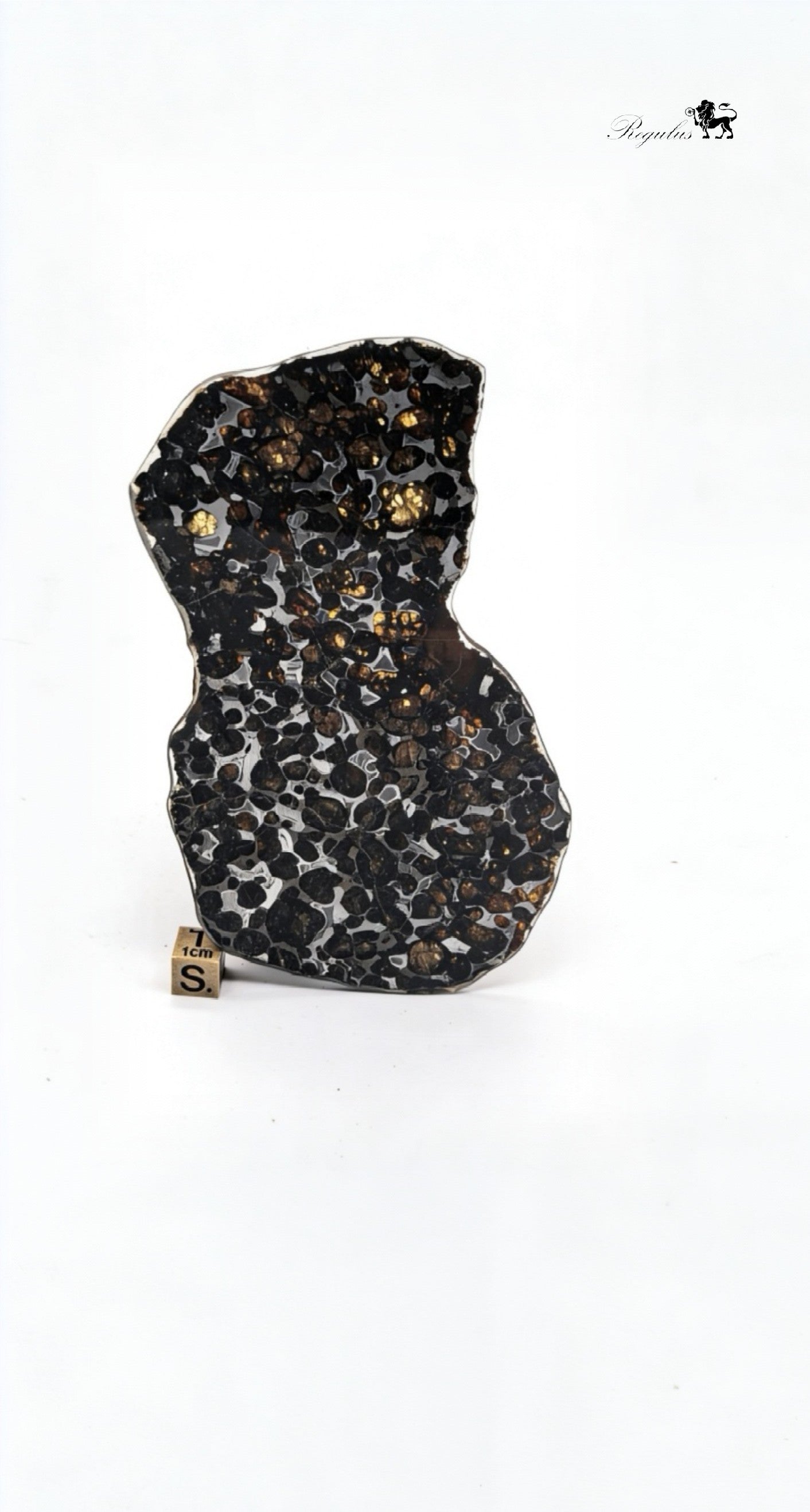 Kenya Pallasite Meteorite Slice,Olive Green Crystal