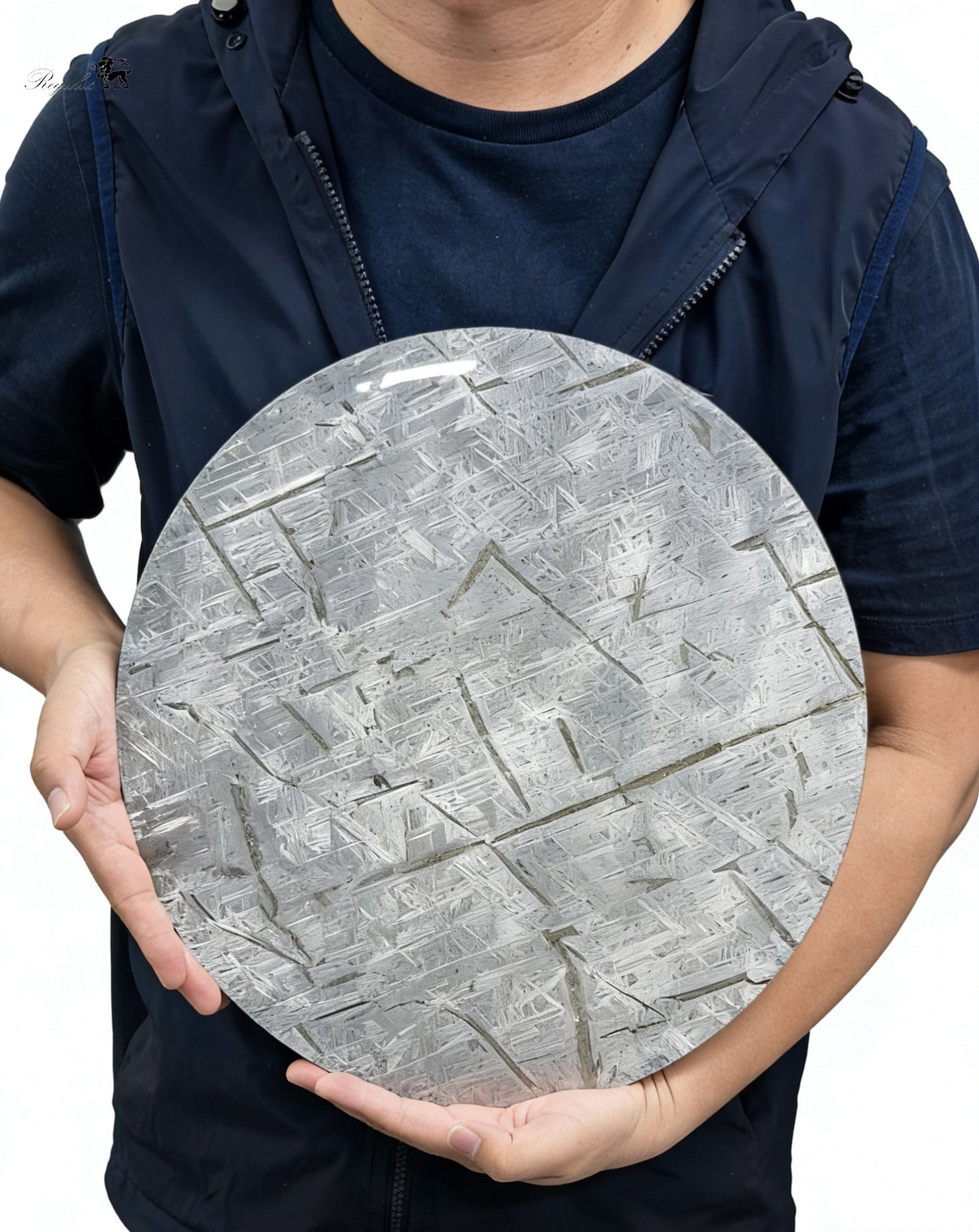 Exquisite Meteorite "Full Moon" Disc · An Eternal Circle Preserving Stardust