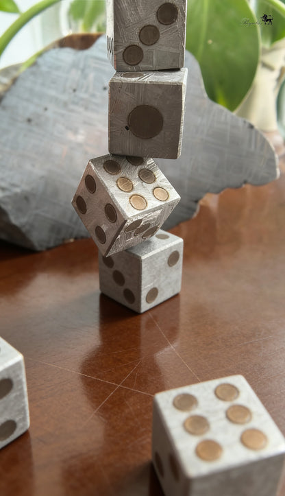 Genuine Iron Meteorite Dice, Widmanstätten Pattern, Polyhedral Gaming Dice