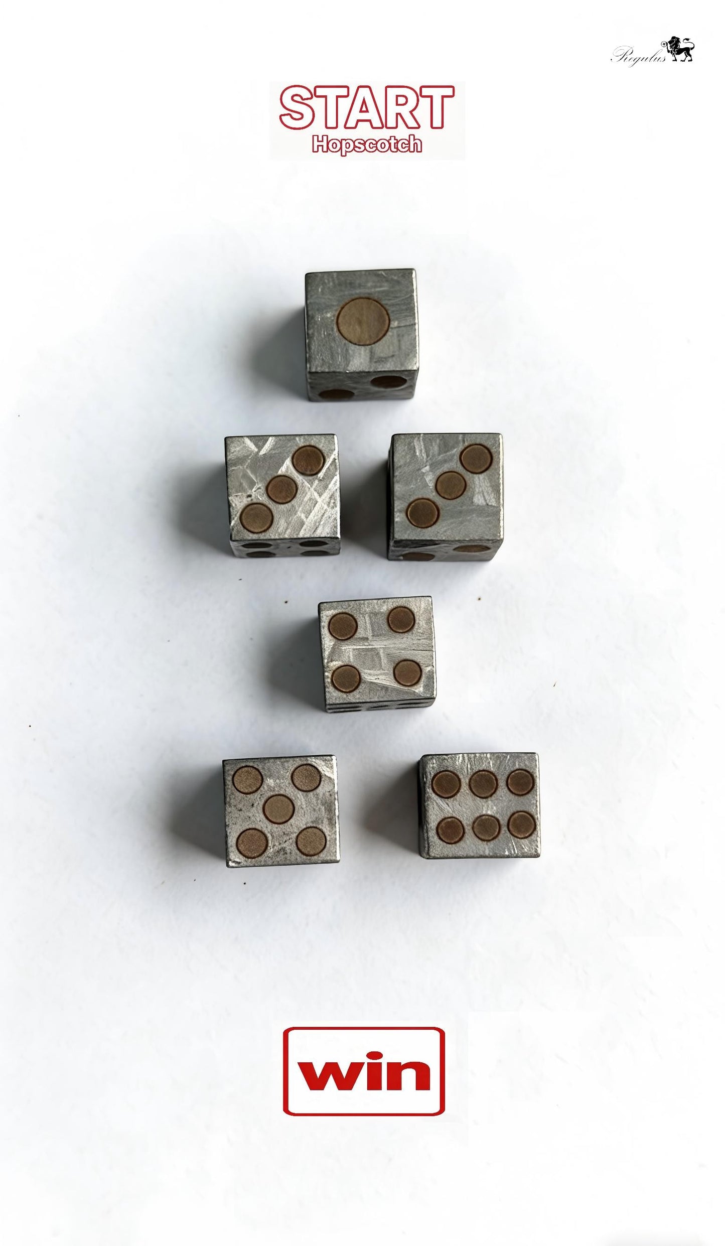Genuine Iron Meteorite Dice, Widmanstätten Pattern, Polyhedral Gaming Dice