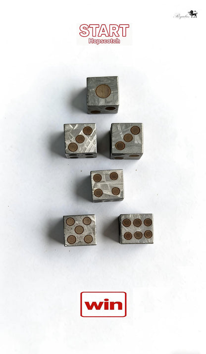 Genuine Iron Meteorite Dice, Widmanstätten Pattern, Polyhedral Gaming Dice
