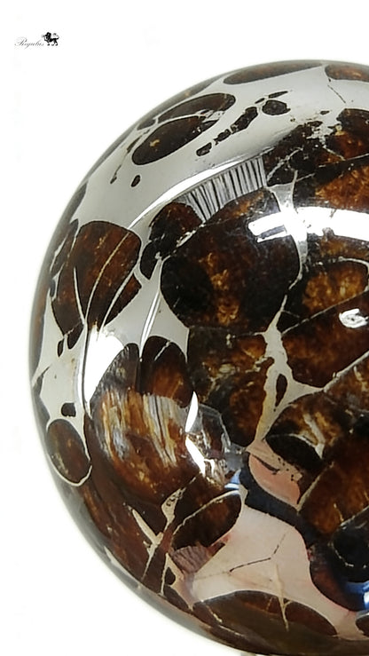 Pallasite Meteorite Ball, Around 2.5cm, Cosmic Gift,Space Rock Crystal Ball,Mineral Specimen