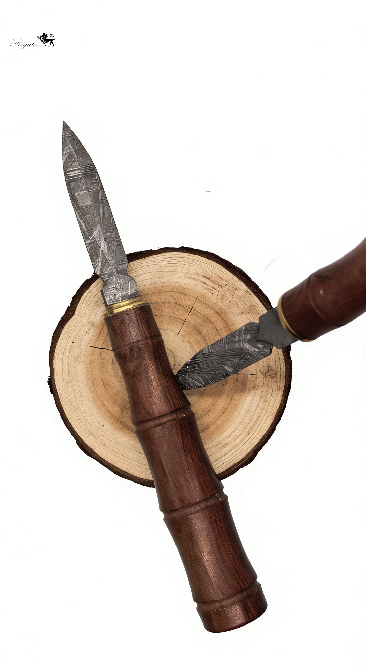 Handmade Muonionalusta Meteorite Tea Knife, Cosmic Widmanstätten Pattern, Natural Wood Handle,Around 16cm