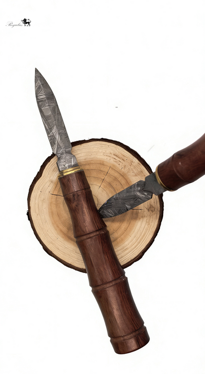 Handmade Muonionalusta Meteorite Tea Knife, Cosmic Widmanstätten Pattern, Natural Wood Handle,Around 16cm