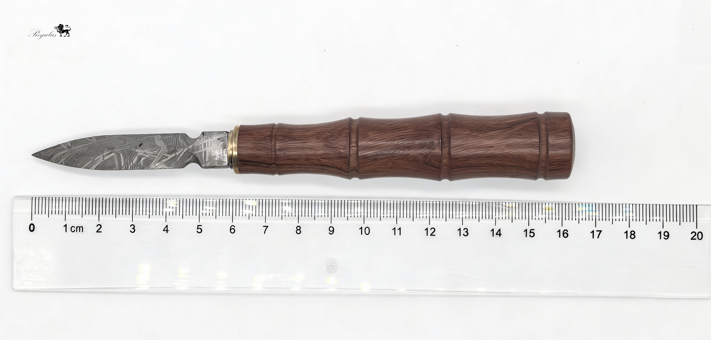 Handmade Muonionalusta Meteorite Tea Knife, Cosmic Widmanstätten Pattern, Natural Wood Handle,Around 16cm