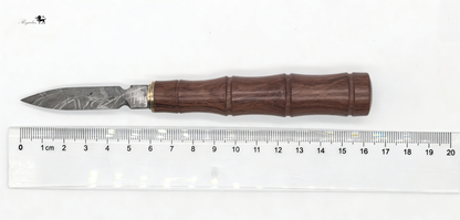 Handmade Muonionalusta Meteorite Tea Knife, Cosmic Widmanstätten Pattern, Natural Wood Handle,Around 16cm