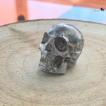 Real Meteorite Skull – Iron Meteorite Carving with Natural Etched Pattern, Dark Academia Desk Decor, Cosmic Skeleton Art