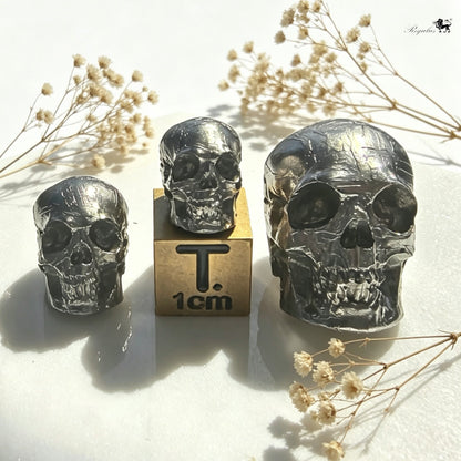 Real Meteorite Skull – Iron Meteorite Carving with Natural Etched Pattern, Dark Academia Desk Decor, Cosmic Skeleton Art