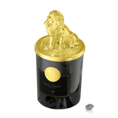Meteorite Candle,Amber Candle,Campo Del Cielo with Candle,Amber Sandalwood Fragrance,Pure Natural Soy Wax,SPACE GARDEN,