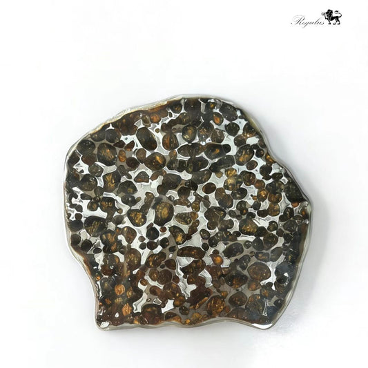 Kenya Pallasite Meteorite Slice,Olive Green Crystal