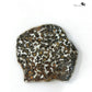 Kenya Pallasite Meteorite Slice,Olive Green Crystal