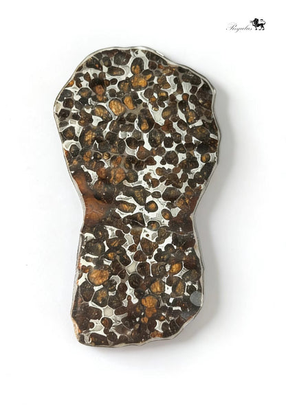 Kenya Pallasite Meteorite Slice,Olive Green Crystal