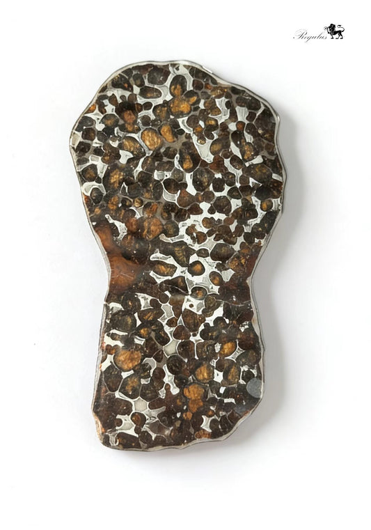 Kenya Pallasite Meteorite Slice,Olive Green Crystal
