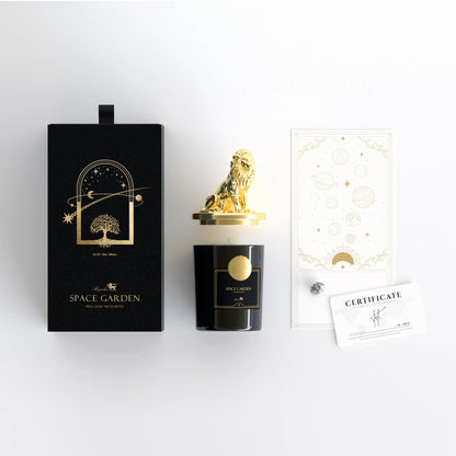 Meteorite Candle,Amber Candle,Campo Del Cielo with Candle,Amber Sandalwood Fragrance,Pure Natural Soy Wax,SPACE GARDEN,