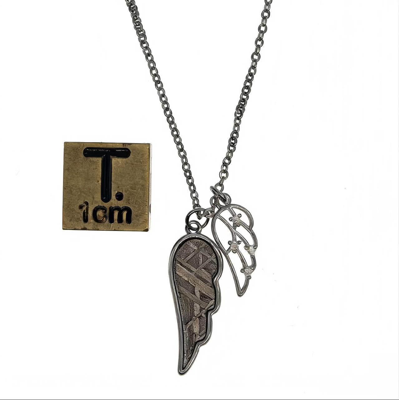 Muonionalusta Meteorite Angel Wing Necklace, Cosmic Pendant