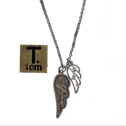 Muonionalusta Meteorite Angel Wing Necklace, Cosmic Pendant