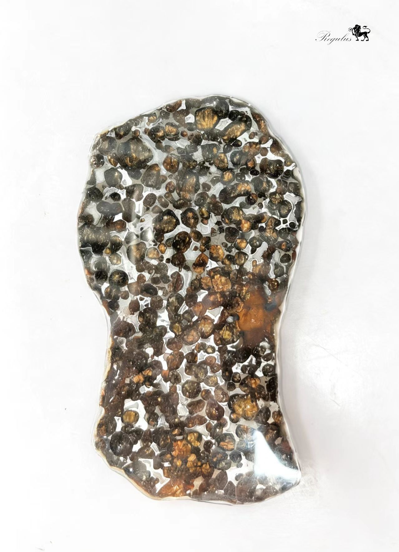 Kenya Pallasite Meteorite Slice,Olive Green Crystal