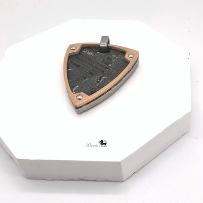 Natural Iron Meteorite Pendant: Space Treasure Necklace
