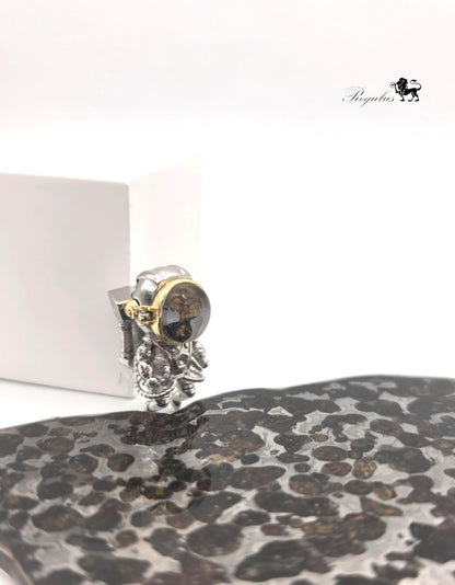 Pallasite Meteorite Pendant，Olive Crystal Space Jewelry