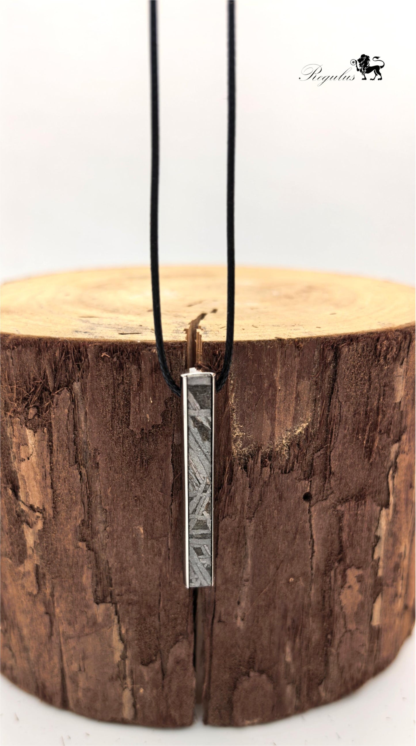 Iron Meteorite Aletai Meteorite Pendant: Natural Space Jewelry