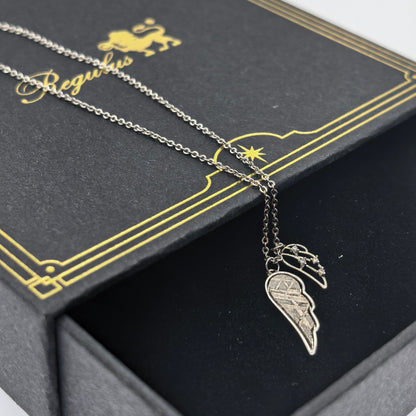 Muonionalusta Meteorite Angel Wing Necklace, Cosmic Pendant