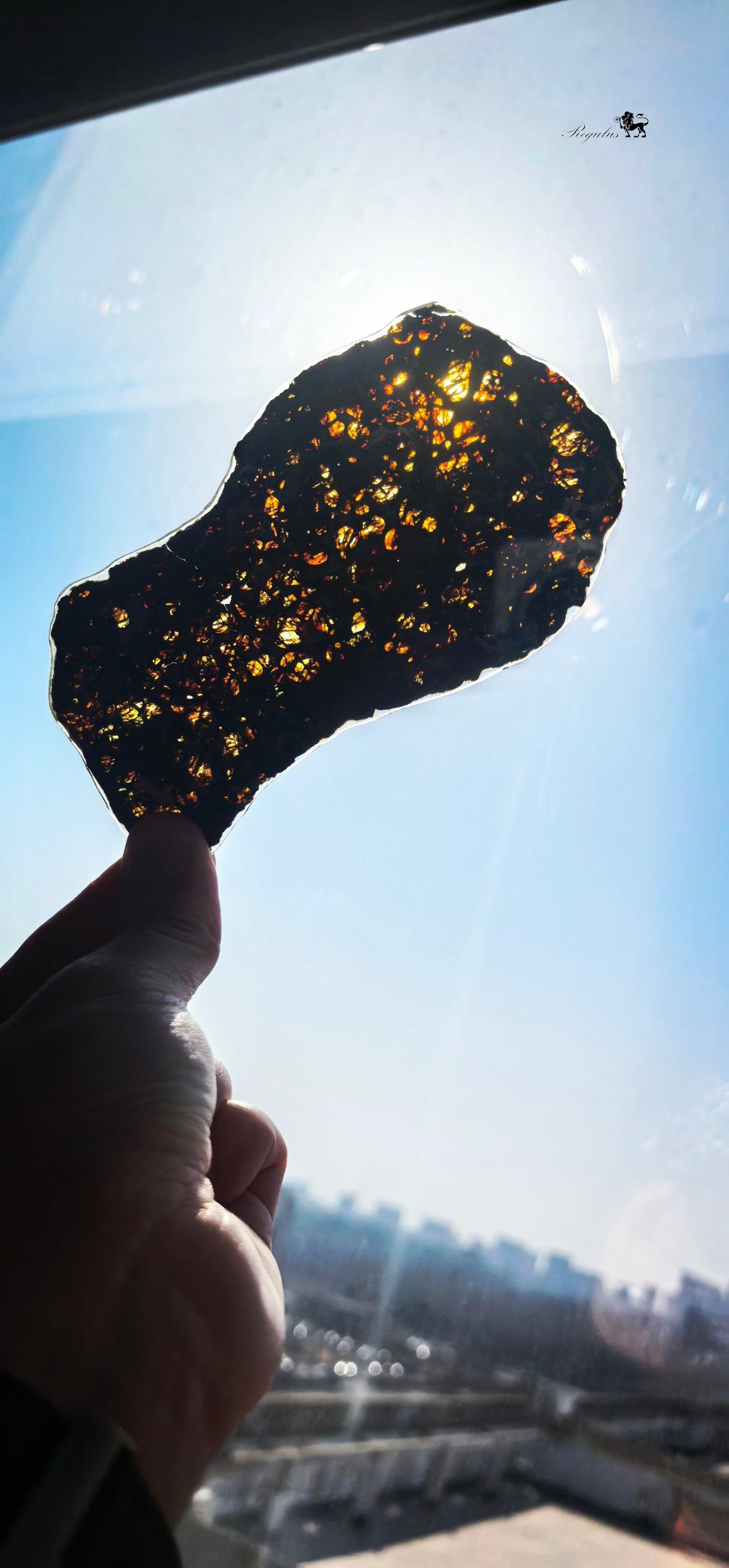 Kenya Pallasite Meteorite Slice,Olive Green Crystal