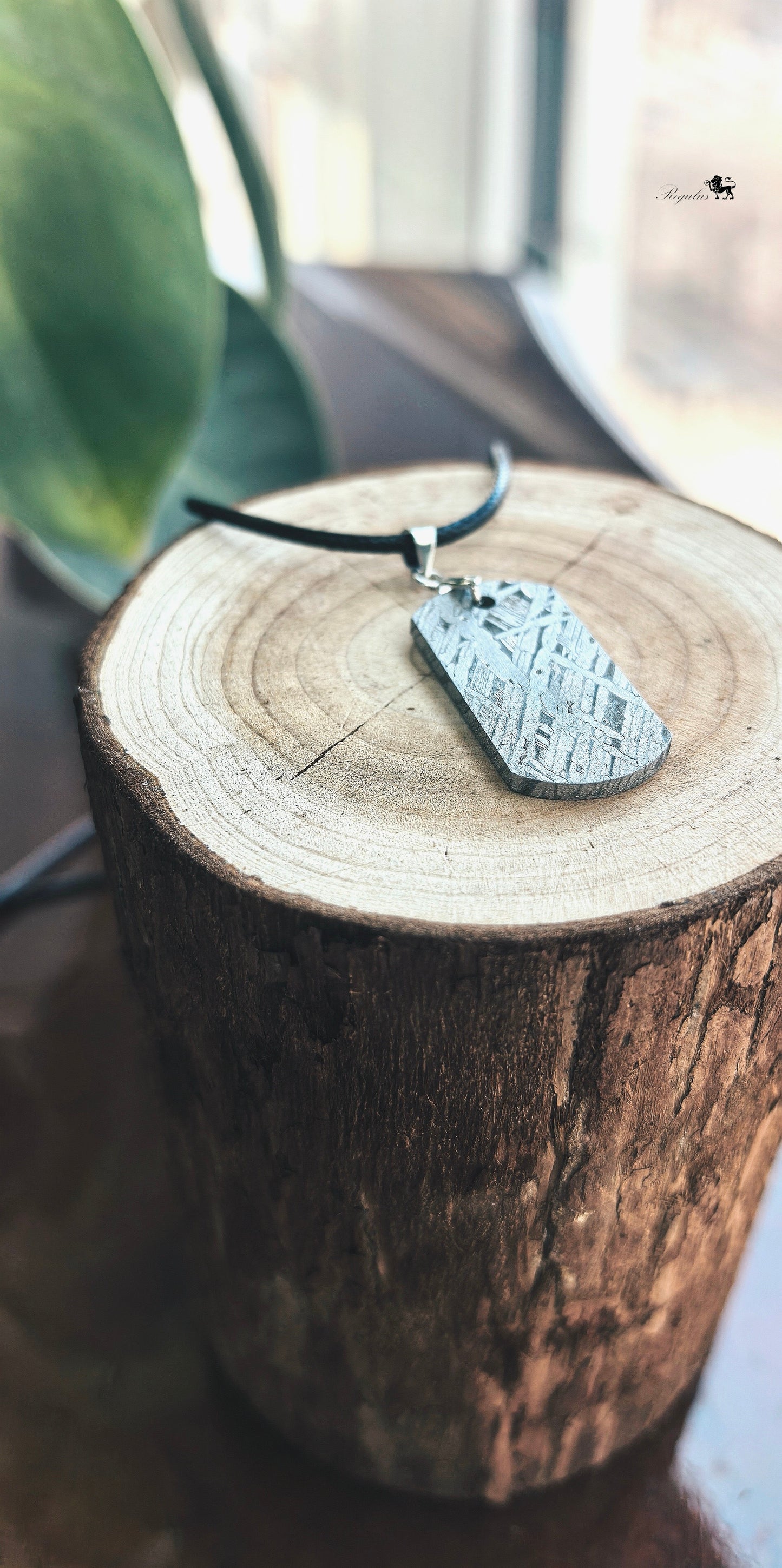 Meteorite Dog Tag Pendant, 4.5 Billion Year Old Space Amulet, Raw Universe Jewelry