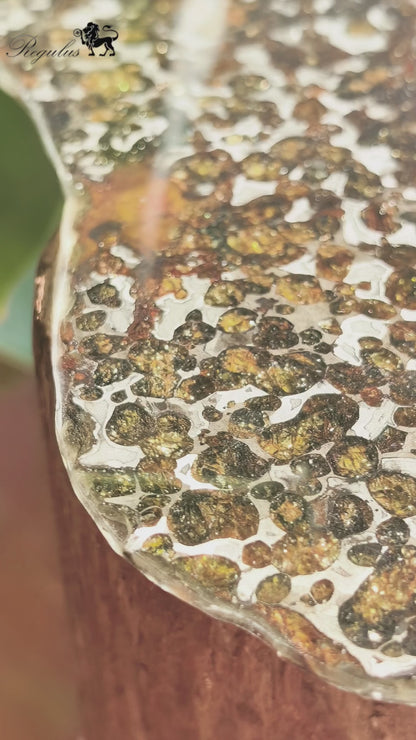 Kenya Pallasite Meteorite Slice,Olive Green Crystal